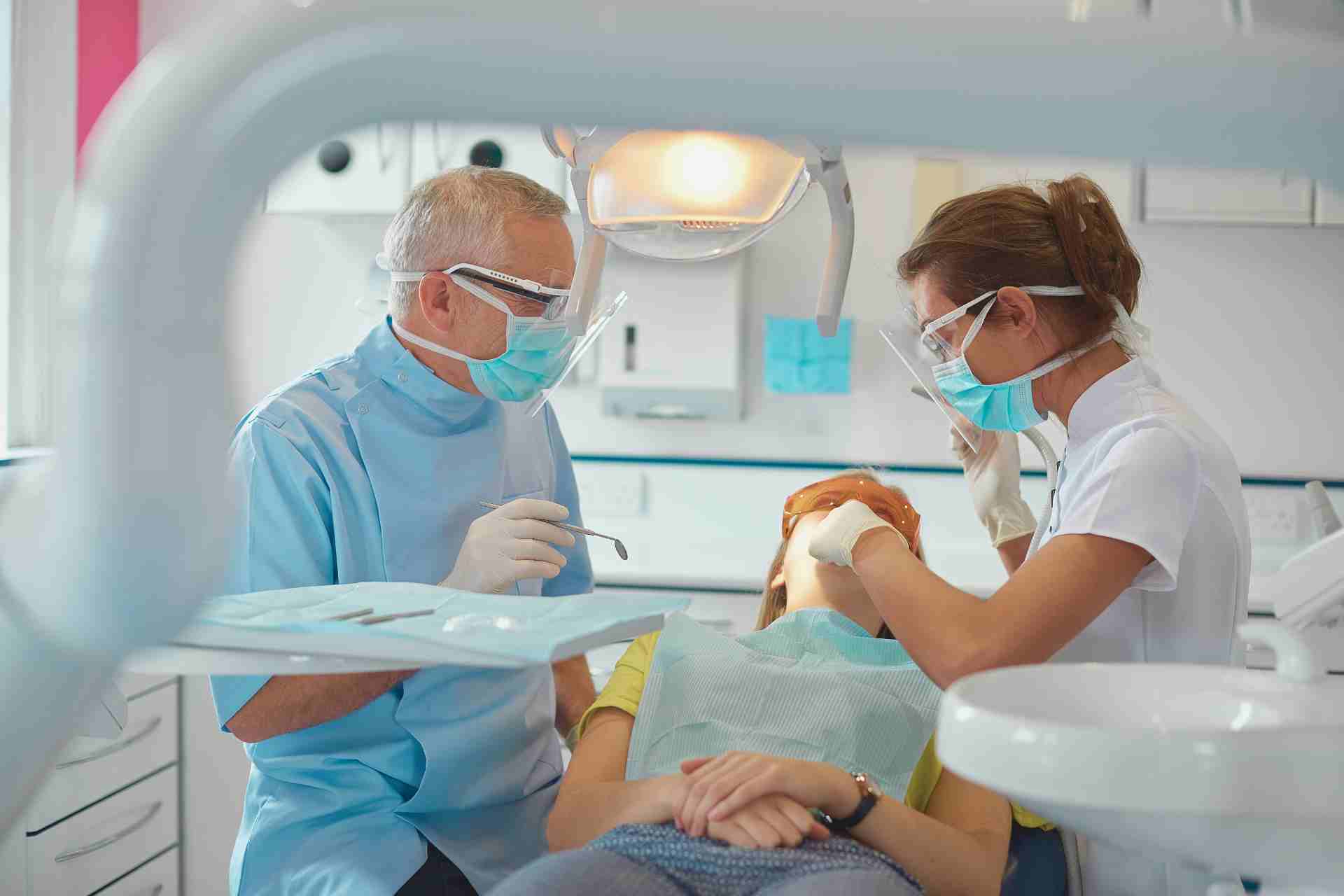 Dentist in Palm Harbor, FL